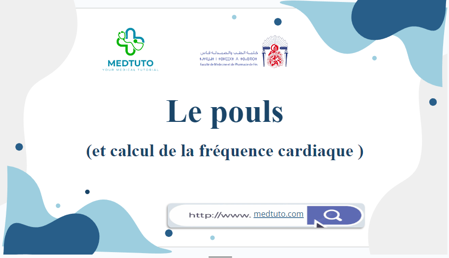 Fréquence Cardiaque